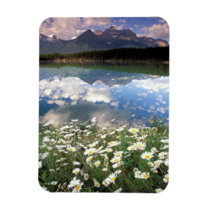 Nordamerika, Kanada, Alberta, Banff National 2 Magnet