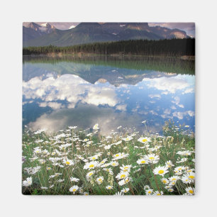 Nordamerika, Kanada, Alberta, Banff National 2 Magnet