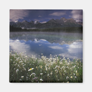 Nordamerika, Kanada, Alberta, Banff National Magnet