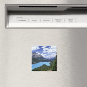 Nordamerika, Kanada, Alberta, Jasper 6 Magnet (In Situ (Geschirrspüler))