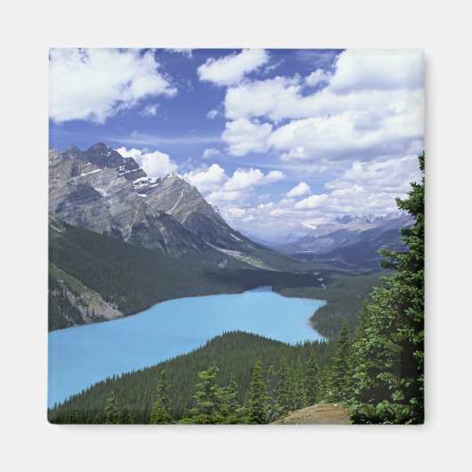 Nordamerika, Kanada, Alberta, Jasper 6 Magnet (Vorne)