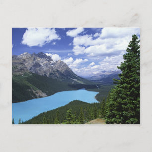 Nordamerika, Kanada, Alberta, Jasper 6 Postkarte