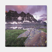 Nordamerika, Kanada, Alberta, Jasper Magnet (Vorne)