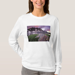 Nordamerika, Kanada, Alberta, Jasper T-Shirt