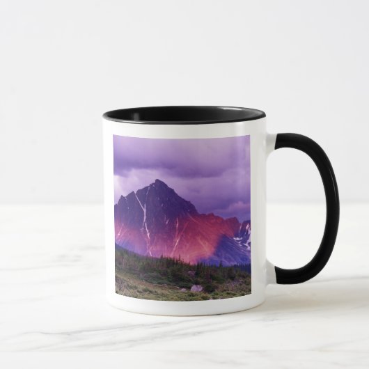 Nordamerika, Kanada, Alberta, Kanada Tasse (Rechts)