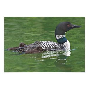 Nordamerika, Kanada, British Columbia Fotodruck