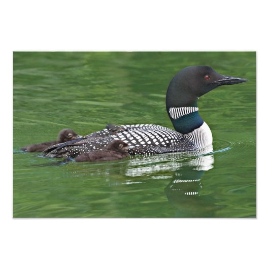 Nordamerika, Kanada, British Columbia Fotodruck (Vorne)