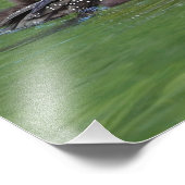 Nordamerika, Kanada, British Columbia Fotodruck (Ecke)