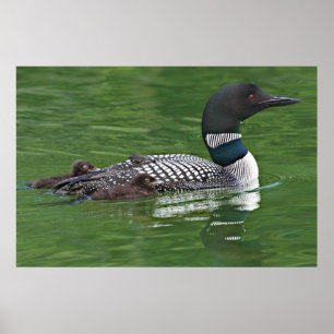 Nordamerika, Kanada, British Columbia, Lac 2 Poster