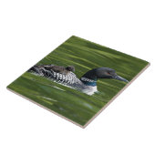 Nordamerika, Kanada, British Columbia, Lac Le Fliese (Seite)