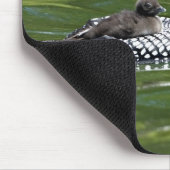 Nordamerika, Kanada, British Columbia, Lac Le Mousepad (Ecke)