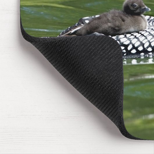 Nordamerika, Kanada, British Columbia, Lac Le Mousepad (Ecke)