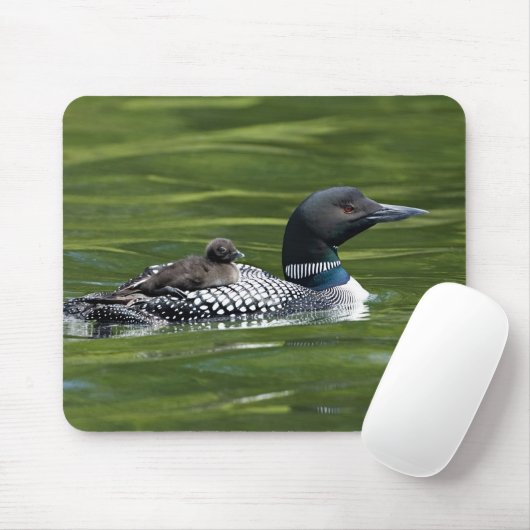 Nordamerika, Kanada, British Columbia, Lac Le Mousepad (Mit Mouse)