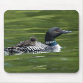 Nordamerika, Kanada, British Columbia, Lac Le Mousepad (Vorne)