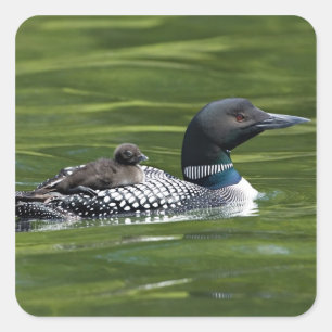 Nordamerika, Kanada, British Columbia, Lac Le Quadratischer Aufkleber