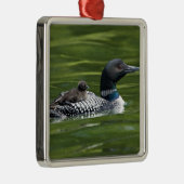 Nordamerika, Kanada, British Columbia, Lac Le Silbernes Ornament (Rechts)