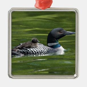 Nordamerika, Kanada, British Columbia, Lac Le Silbernes Ornament