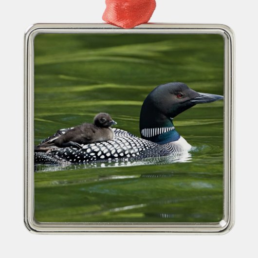 Nordamerika, Kanada, British Columbia, Lac Le Silbernes Ornament (Vorne)