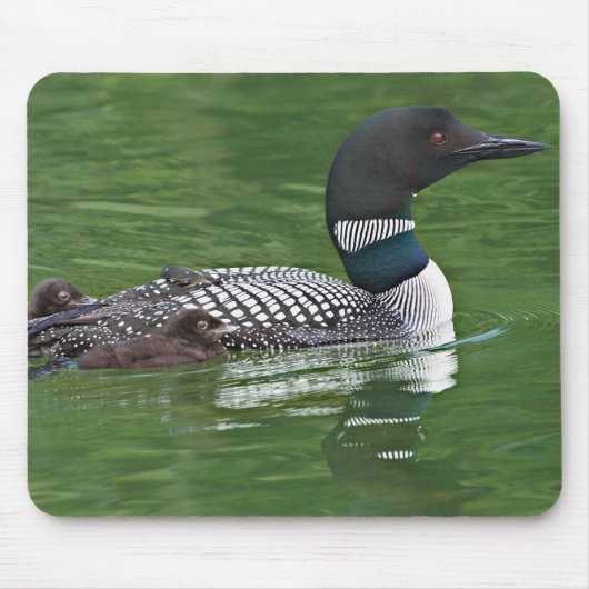 Nordamerika, Kanada, British Columbia Mousepad (Vorne)