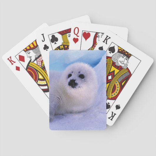 Nordamerika, Kanada, Golf von St. Lawrence Spielkarten (Rückseite)