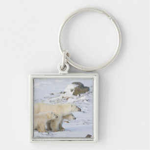 Nordamerika, Kanada, Manitoba, Churchill. 4 Schlüsselanhänger