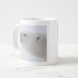 Nordamerika, Kanada, Manitoba, Churchill. 6 Jumbo-Tasse