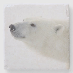 Nordamerika, Kanada, Manitoba, Churchill. 6 Steinuntersetzer