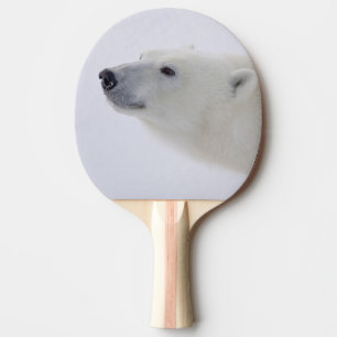 Nordamerika, Kanada, Manitoba, Churchill. 6 Tischtennis Schläger