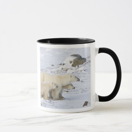 Nordamerika, Kanada, Manitoba, Churchill Tasse (Rechts)