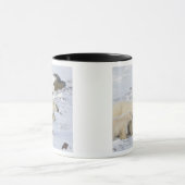 Nordamerika, Kanada, Manitoba, Churchill Tasse (Zentrum)