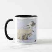 Nordamerika, Kanada, Manitoba, Churchill Tasse (Links)