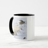 Nordamerika, Kanada, Manitoba, Churchill Tasse (Vorderseite Links)