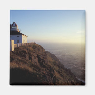 Nordamerika, Kanada, Neufundland, Cape Spear, 2 Magnet