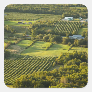 Nordamerika, Kanada, Nova Scotia, Annapolis Quadratischer Aufkleber