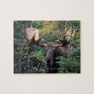 Nordamerika, Kanada, Nova Scotia, Cape Breton Puzzle