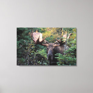 Nordamerika, Kanada, Nova Scotia, Kap Breton Leinwanddruck