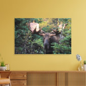 Nordamerika, Kanada, Nova Scotia, Kap Breton Leinwanddruck (Insitu (Wohnzimmer))