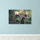 Nordamerika, Kanada, Nova Scotia, Kap Breton Leinwanddruck (Insitu (Holzboden))