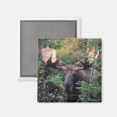 Nordamerika, Kanada, Nova Scotia, Kap Breton Magnet (Vorderseite/Rückseite)