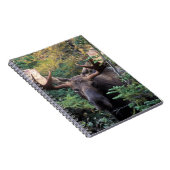 Nordamerika, Kanada, Nova Scotia, Kap Breton Notizblock (Rechte Seite)