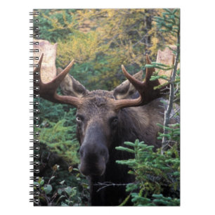 Nordamerika, Kanada, Nova Scotia, Kap Breton Notizblock