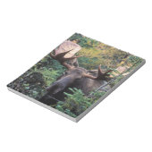 Nordamerika, Kanada, Nova Scotia, Kap Breton Notizblock (Rotiert)