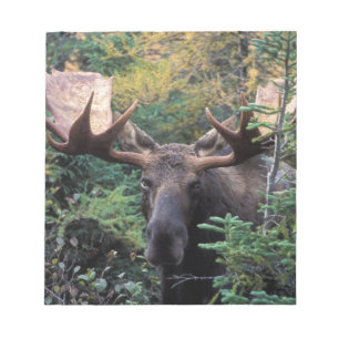 Nordamerika, Kanada, Nova Scotia, Kap Breton Notizblock