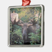 Nordamerika, Kanada, Nova Scotia, Kap Breton Ornament Aus Metall (Links)