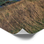 Nordamerika, Kanada, Nova Scotia, Kap Breton, Poster (Ecke)