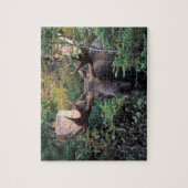 Nordamerika, Kanada, Nova Scotia, Kap Breton Puzzle (Vertikal)