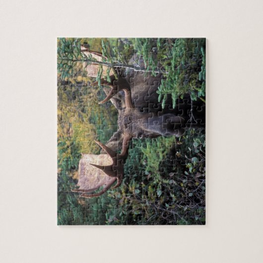 Nordamerika, Kanada, Nova Scotia, Kap Breton Puzzle (Vertikal)