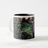 Nordamerika, Kanada, Nova Scotia, Kap Breton Zweifarbige Tasse (Vorderseite Links)