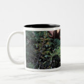 Nordamerika, Kanada, Nova Scotia, Kap Breton Zweifarbige Tasse (Links)