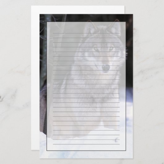 Nordamerika, Kanada, Ostkanada, Grauwolf Briefpapier (Vorne/Hinten)